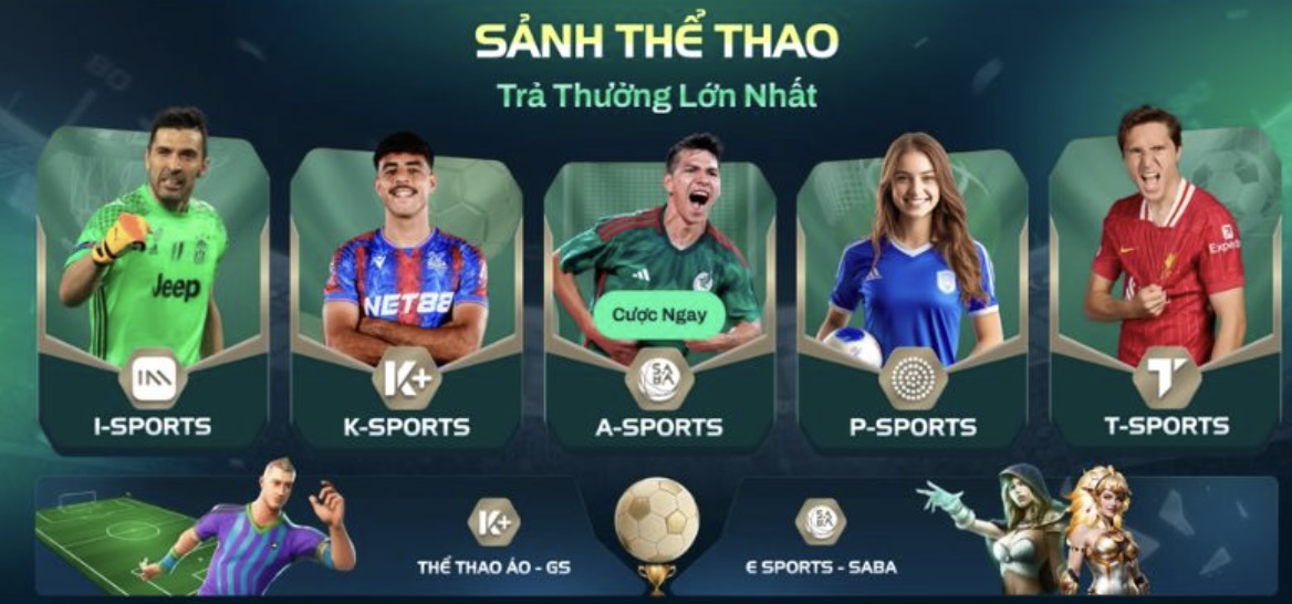 Các trò chơi cá cược thể thao VK88